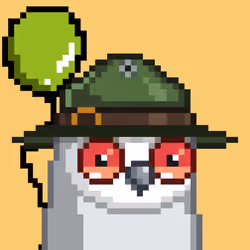 Loonbirds #6169