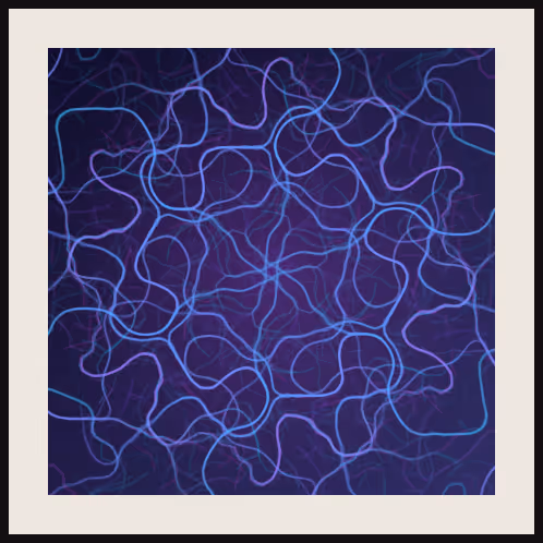 Null Field