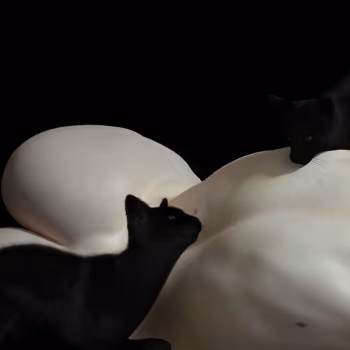 Sleep Paralysis V4