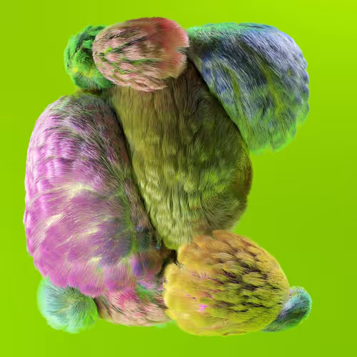 Item #12800050009 Media