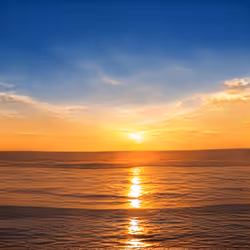 Sun Block Genesis #519
