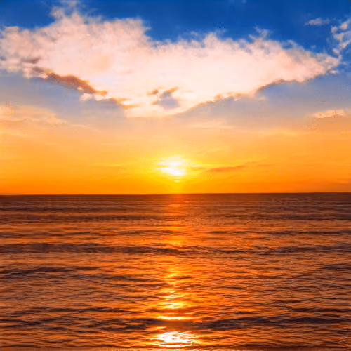 Sun Block Genesis #121
