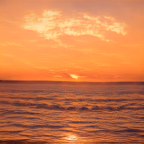 Sun Block Genesis #322