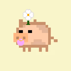 Oinkers #659
