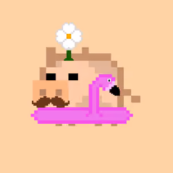Oinkers #2762