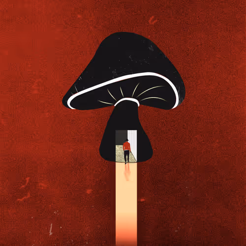 da Minimalist