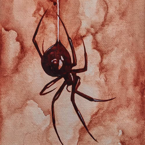 Bloody spider