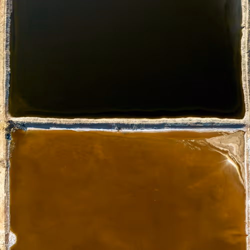 Rothko Reimagined