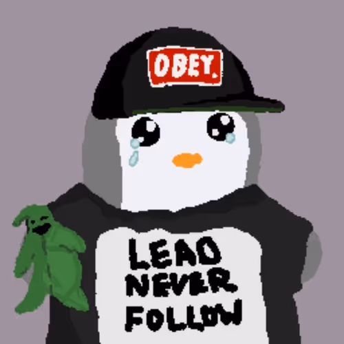 0xpp