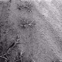 By Accident - The Negatives #119