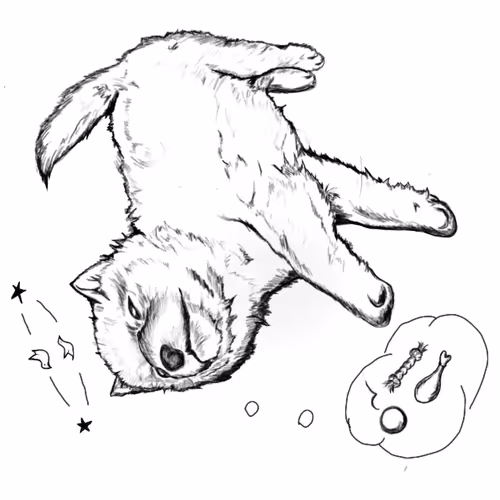 Dizzy Doge