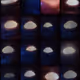 164