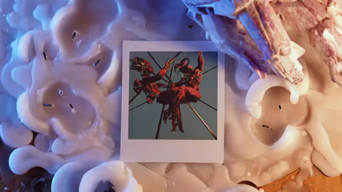 Item #52100050011 Media