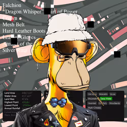 404