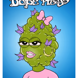 DOPEHEADS NFT #334