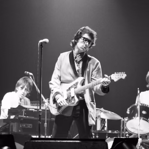 Elvis Costello Photographed By David Gahr