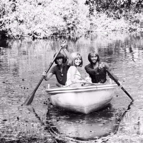 Bee Gees Photographed By David Gahr