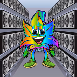 243