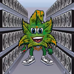 KoolBuds #318