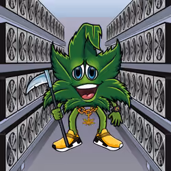 KoolBuds #77
