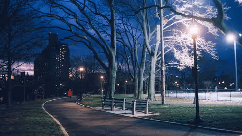 Item #210356223047172311107060975236932463447 Media