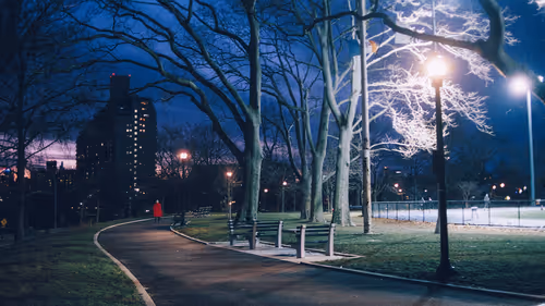 Item #103266557406596958383379526546017629372 Media