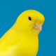 4487