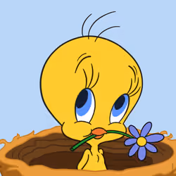 Tweety #4085