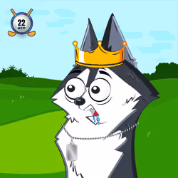 Gooofy Golfer #6665