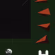 43
