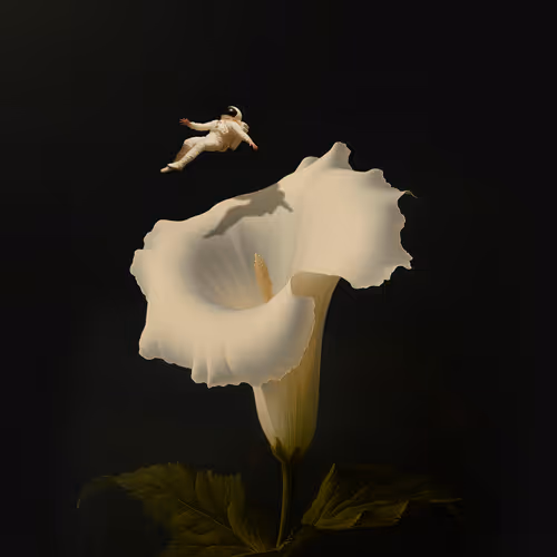 Botanica 7