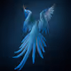 Unextinct Return of the Spixs Macaw by Tim Flach