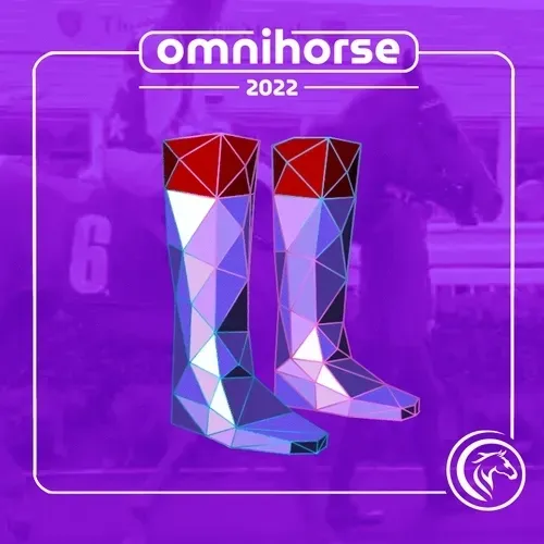Omnihorse Riding Equipment