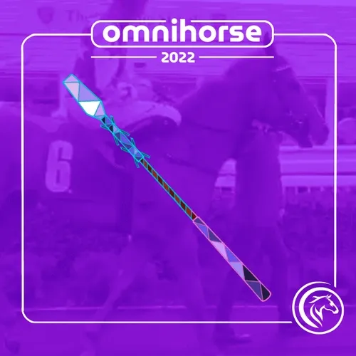 Omnihorse Riding Equipment
