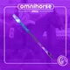 Omnihorse Whip #9