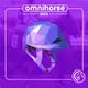 Omnihorse Helmet #95