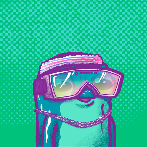 Spacepoggers