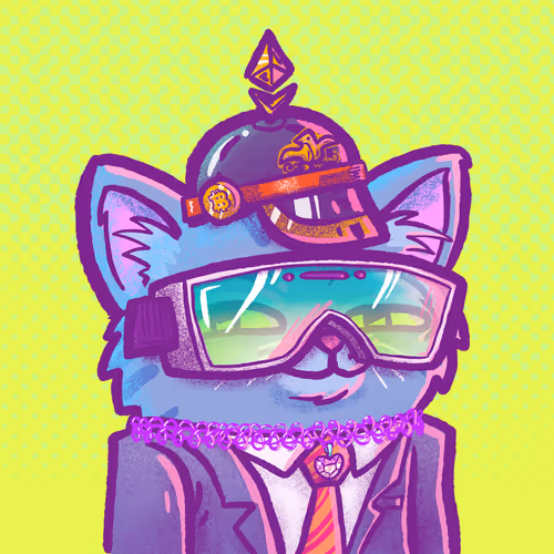 Spacepoggers