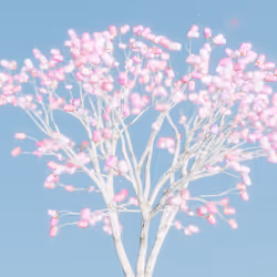 106044571958086118596629643980707373428