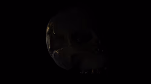 Item #166000300015 Media