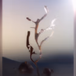`still imaginary life`