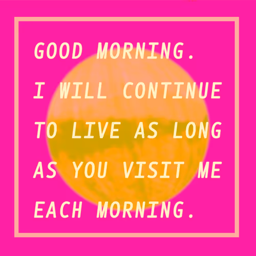 Good Morning 13