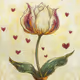 I love you Tulips