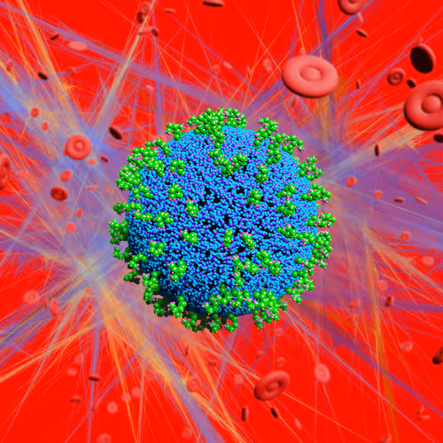 Nft Pandemic
