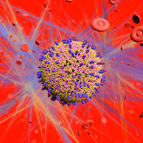 Nft Pandemic