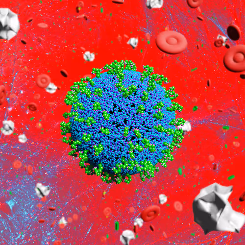 Nft Pandemic