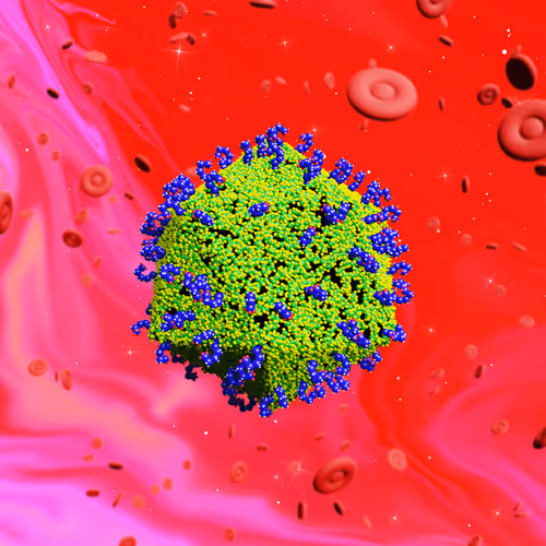 Nft Pandemic