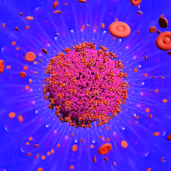 Pandemic Virus Specimen 3491