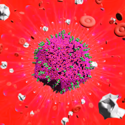Pandemic Virus Specimen 3443
