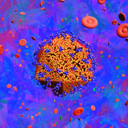 Pandemic Virus Specimen 878